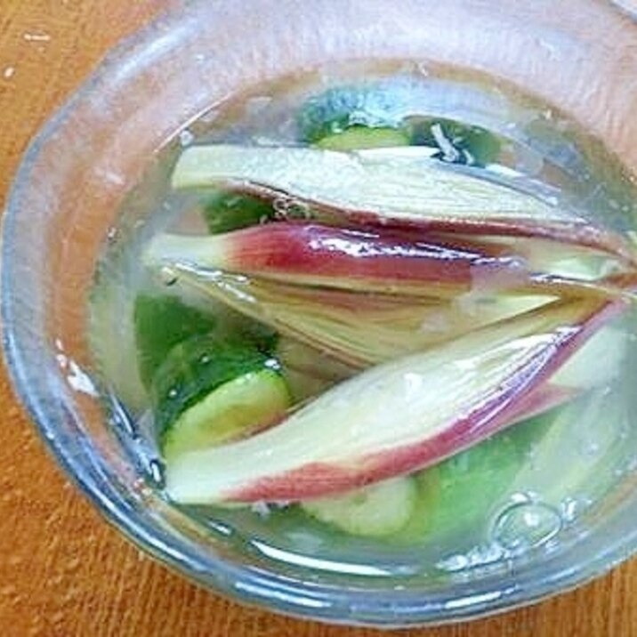 きゅうりと 茗荷の 塩水漬け